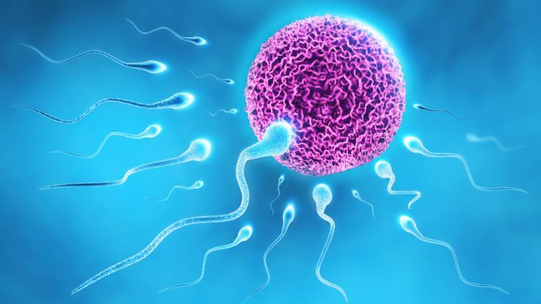 Mini-IVF: Έμφαση στην ποιότητα των ωαρίων