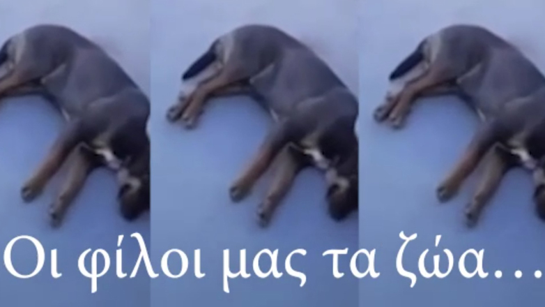 Το Video της ημέρας – 09/06/24