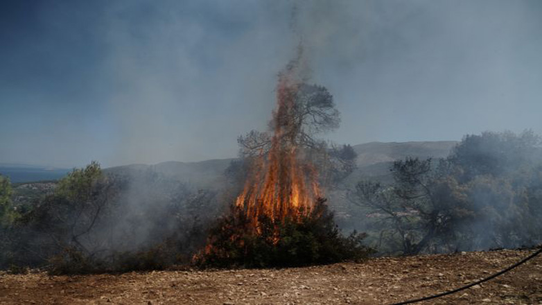 Συναγερμός από πυρκαγιά στο Λαγό Έβρου