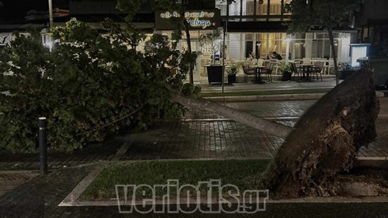 Σφοδρό μπουρίνι έπληξε τη Βέροια – Πτώσεις δέντρων και διακοπές ρεύματος