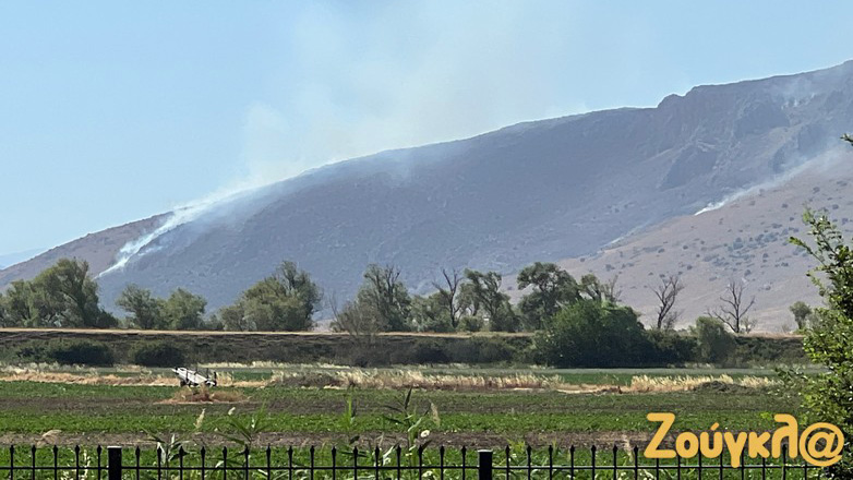Πυρκαγιά σε χαμηλή βλάστηση στο Ακόντιο Λιβαδειάς