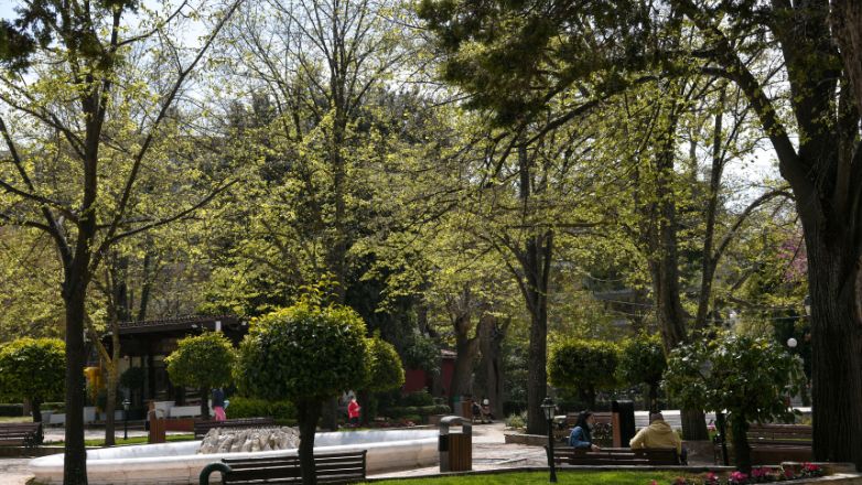 Δήμος Κηφισιάς: «Έχει γίνει αίτηση για ένταξη  στο πρόγραμμα πυροπροστασίας οικισμών του ΥΠΕΝ»