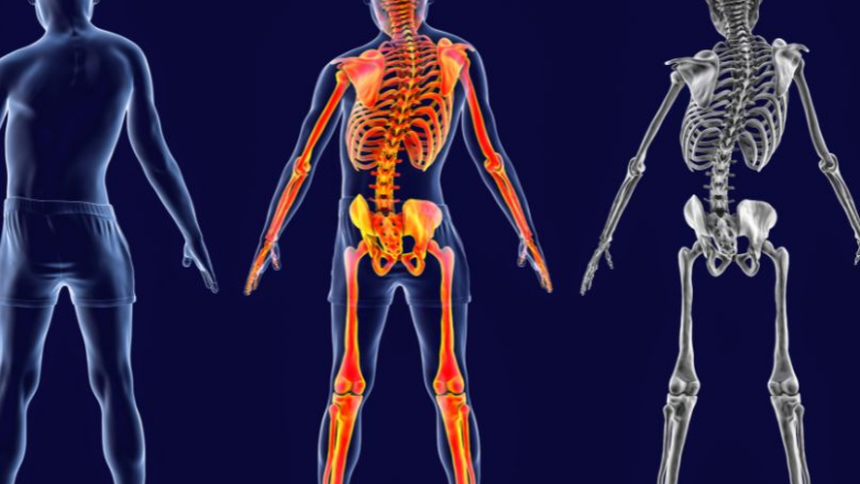 Σπονδυλική στήλη: Αντιμετώπιση παραμορφώσεων με χειρουργική πλοήγηση