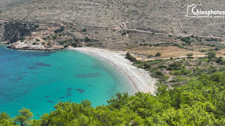 Ποταμοί: Η παραλία της δυτικής Χίου με τα γαλαζοπράσινα νερά και τα πεύκα που φτάνουν μέχρι την θάλασσα