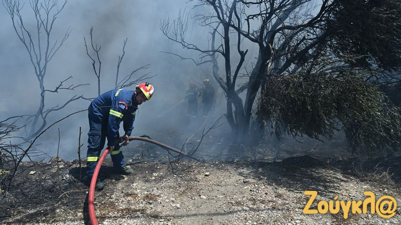 Κικίλιας: Υπάρχει video με εμπρηστή στη Βάρης-Κορωπίου