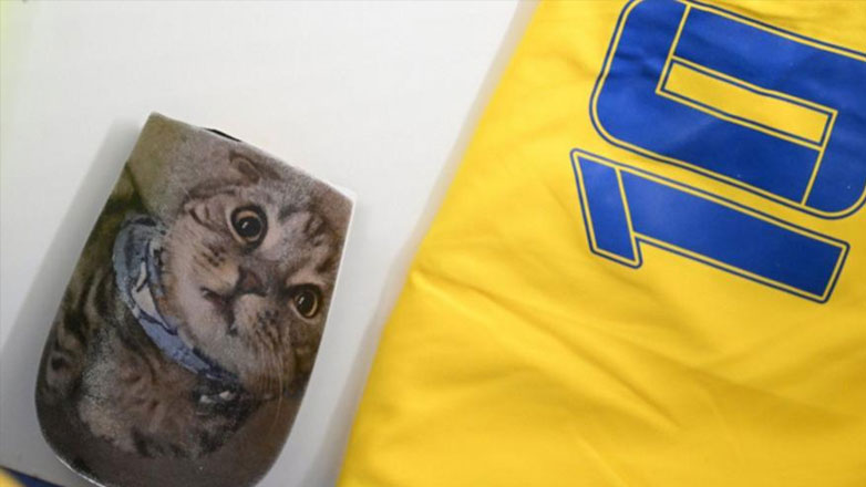 Euro 2024: Οι επικαλαμίδες του Μούντρικ απεικονίζουν την γάτα του