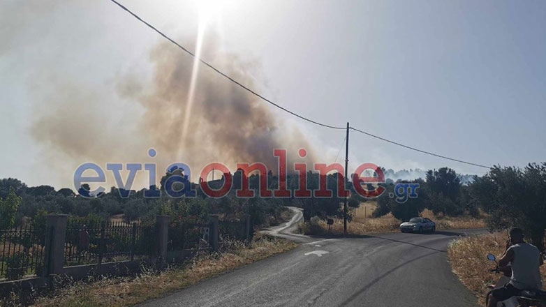 Εύβοια: Τέθηκε υπό έλεγχο η μεγάλη πυρκαγιά στο Κοντοδεσπότι