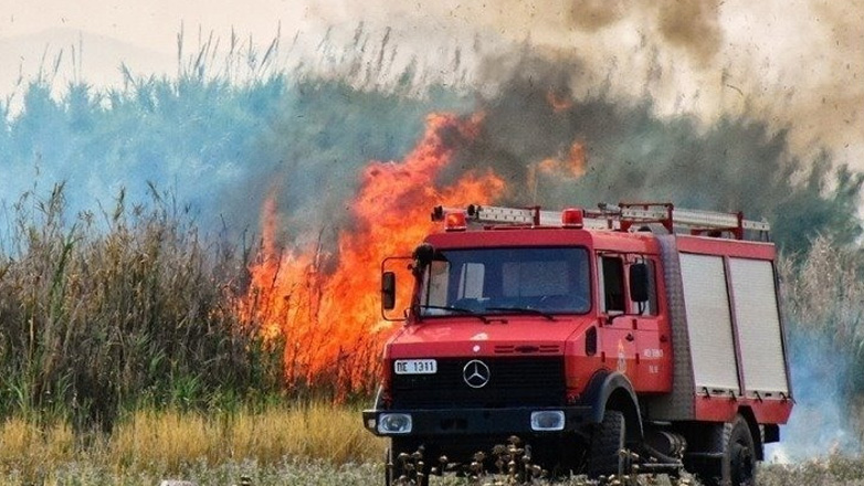 Έδεσσα: Υπό έλεγχο η φωτιά σε δασική έκταση στο Άνω Γραμματικό