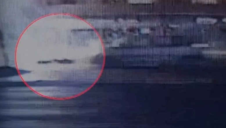 Σοκαριστικό βίντεο με τη 17χρονη που παρασύρθηκε από ΙΧ – Νοσηλεύεται σε κρίσιμη κατάσταση Σοκαριστικό βίντεο με τη 17χρονη που παρασύρθηκε από ΙΧ – Νοσηλεύεται σε κρίσιμη κατάσταση