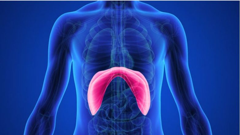 Ιατρικό Κέντρο Αθηνών: Πρωτοποριακή επέμβαση αποκατάστασης γιγαντιαίας διαφραγματοκήλης