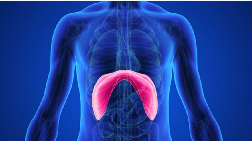 Ιατρικό Κέντρο Αθηνών: Πρωτοποριακή επέμβαση αποκατάστασης γιγαντιαίας διαφραγματοκήλης