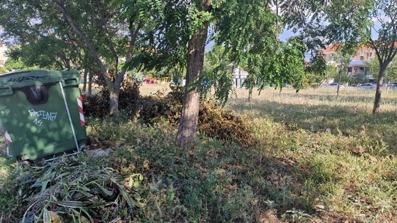 Παράταση υποβολής δηλώσεων καθαρισμού οικοπέδων στην πλατφόρμα akatharista.apps.gov.gr