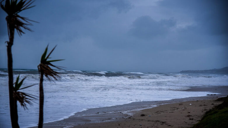 Συναγερμός για τον καιρό: Θυελλώδεις άνεμοι και σημαντικός κίνδυνος πυρκαγιών τις επόμενες ώρες Συναγερμός για τον καιρό: Θυελλώδεις άνεμοι και σημαντικός κίνδυνος πυρκαγιών τις επόμενες ώρες