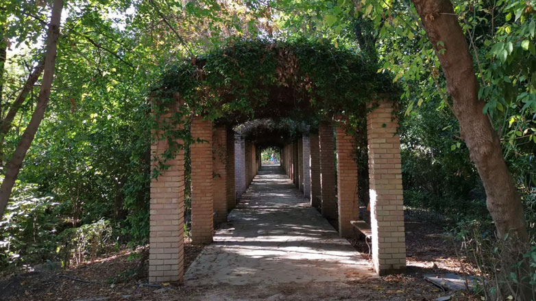 Έκλεισε ο Εθνικός Κήπος λόγω των ισχυρών ριπών ανέμου στην Αττική