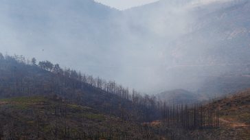 Υπό έλεγχο η φωτιά στην Πάρνηθα με διάσπαρτες εστίες