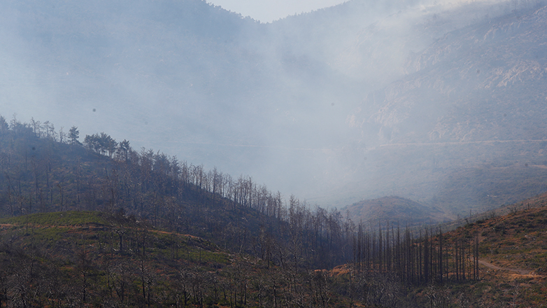 Υπό έλεγχο η φωτιά στην Πάρνηθα με διάσπαρτες εστίες