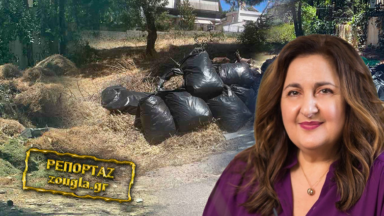 Oι ιδιώτες τα μαζεύουν, οι Δήμοι τι κάνουν ;