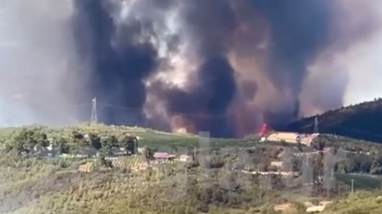 Οι δύο εστίες της φωτιάς στην Σταμάτα από την κάμερα της «Ζούγκλας»