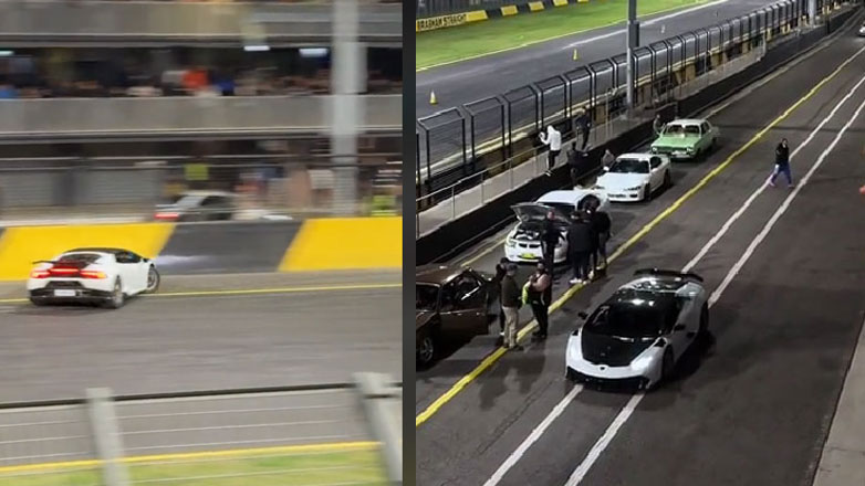 Τι έσωσε ο άνθρωπος (Βίντεο)