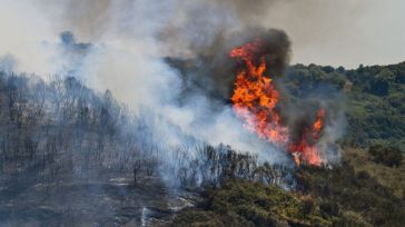 Συνελήφθη πρώην εποχικός πυροσβέστης για δώδεκα πυρκαγιές στην περιοχή Λάρισας – Αμπελώνα