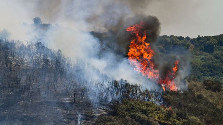 Συνελήφθη πρώην εποχικός πυροσβέστης για δώδεκα πυρκαγιές στην περιοχή Λάρισας – Αμπελώνα