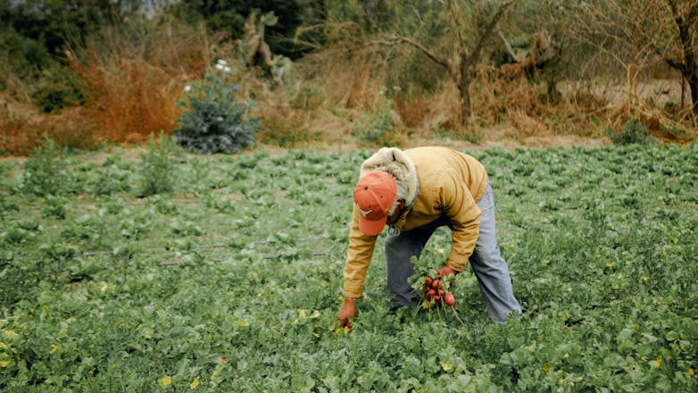 Κύκλωμα έφερνε παράνομα εργάτες γης από το Νεπάλ – Η κωδική ονομασία της επιχείρησης