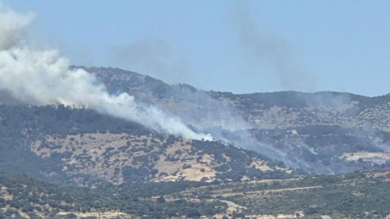 Μεγάλη πυρκαγιά στο Μανταμάδο της Λέσβου – Καίει δασική έκταση