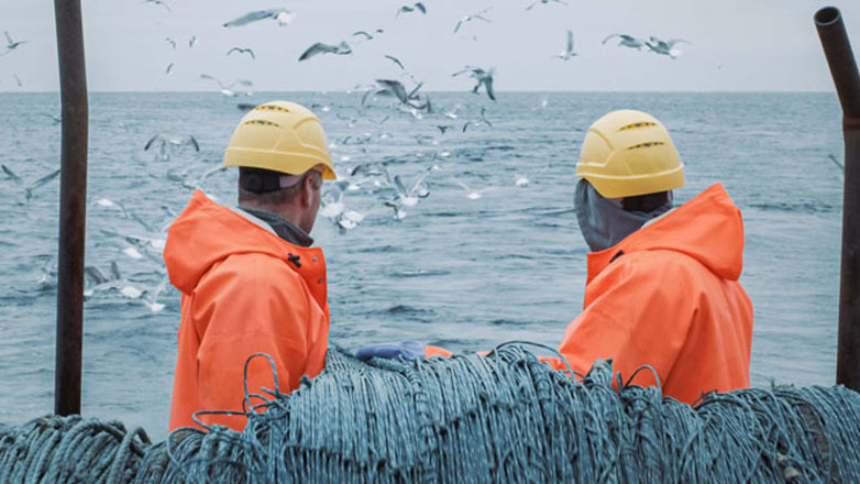 ΕΑΕΕ: Μικρή μείωση στο πλήθος των συμβολαίων ασφάλισης πληρωμάτων πλοίων