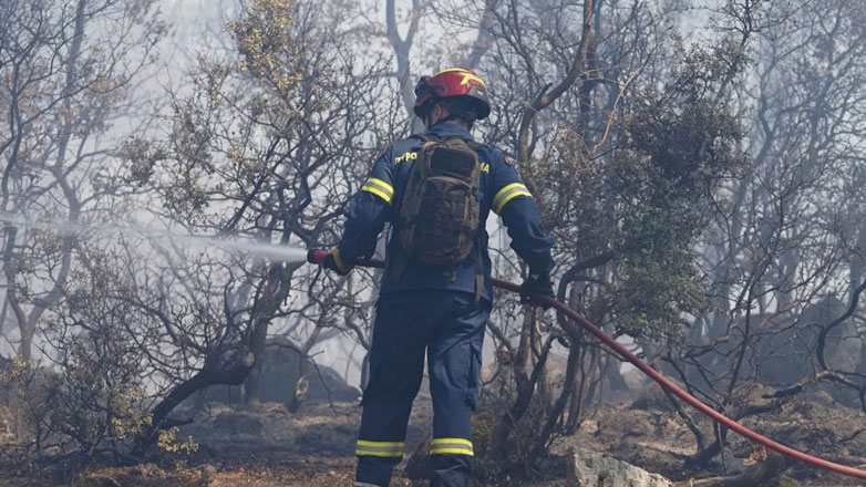 Πυρκαγιά στη Μαγούλα