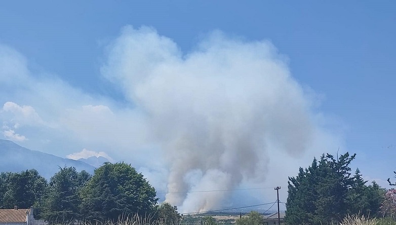 Μεγάλη φωτιά ξέσπασε στην Πιερία