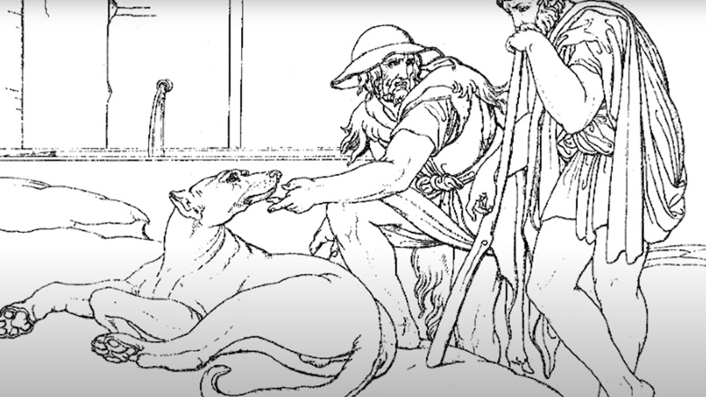 Ενωμένοι οι κτηνίατροι: «Επικίνδυνος, ανήθικος και προσχηματικός ο νόμος για τα ζώα συντροφιάς»