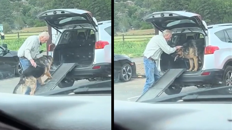 Ράμπα για ηλικιωμένο σκύλο