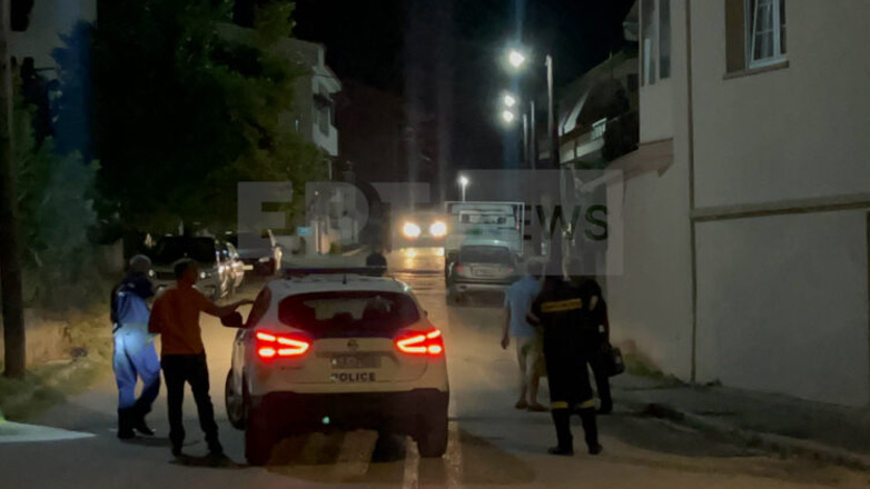 Πανικός στο Άργος Ορεστικό: Αρκούδα στο κέντρο της πόλης – Πολύωρη επιχείρηση απεγκλωβισμού