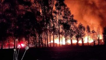 Έκτακτα μέτρα για το φόβο πυρκαγιών μέχρι τον Δεκαπενταύγουστο