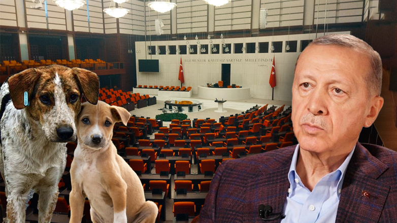 Βάφει τα χέρια του με αίμα αδέσποτων ο Ερντογάν