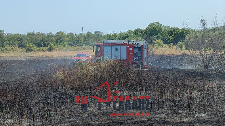 Έσβησε η φωτιά στον κόμβο Σκοτίνας προς Λεπτοκαρυά