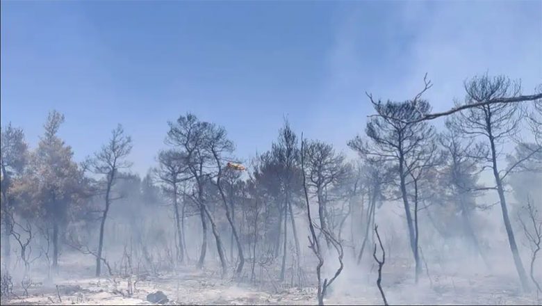 Σοφικό: Μάχη με διάσπαρτες εστίες εξακολουθούν να δίνουν οι δυνάμεις της πυροσβεστικής Σοφικό: Μάχη με διάσπαρτες εστίες εξακολουθούν να δίνουν οι δυνάμεις της πυροσβεστικής