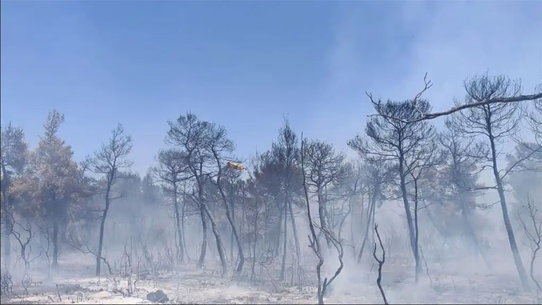 Σοφικό: Μάχη με διάσπαρτες εστίες εξακολουθούν να δίνουν οι δυνάμεις της πυροσβεστικής