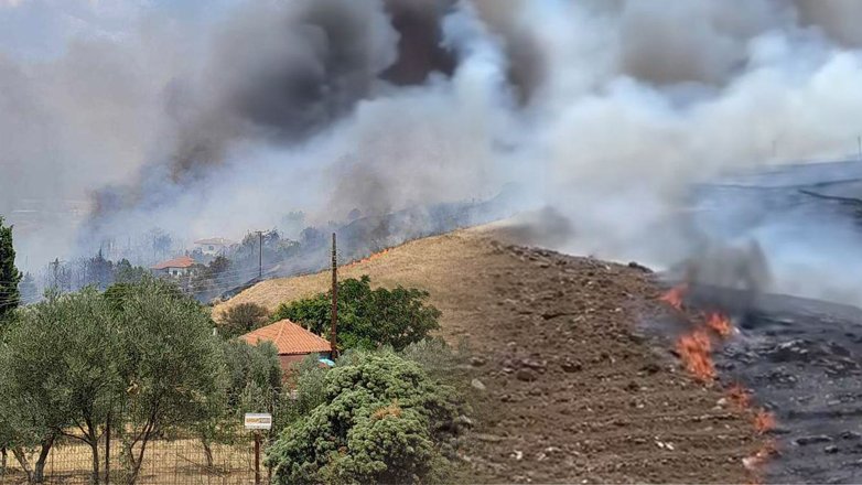Φωτιά στην Καμπή Άρτας