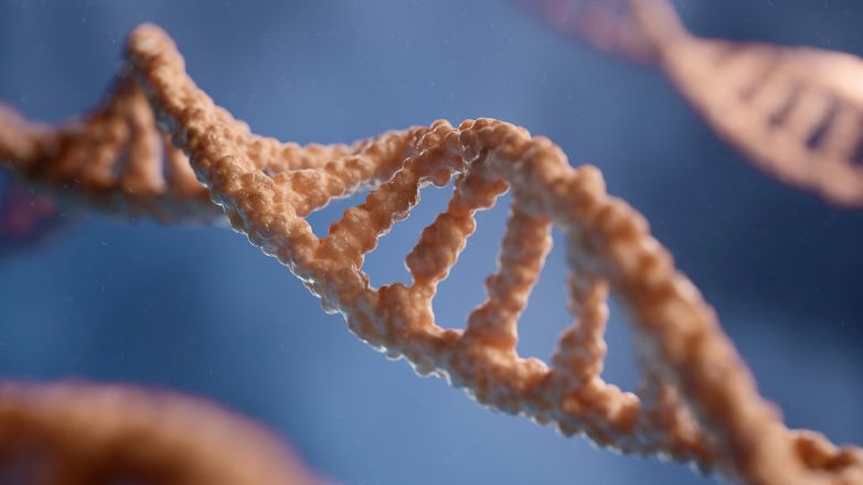 Πειραματικό φάρμακο αύξησε τη διάρκεια ζωής κατά 25% σε ποντίκια – Ελπίδες πως θα έχει την ίδια επίδραση και στον άνθρωπο