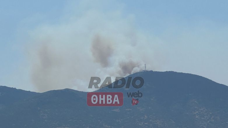 Φωτιά στις Ερυθρές Αττικής