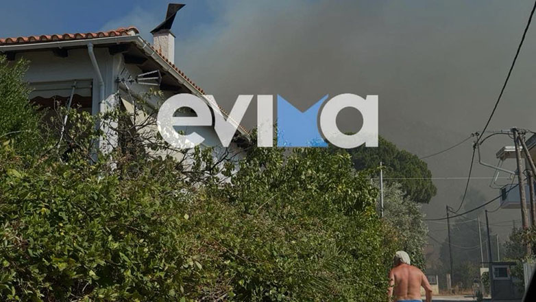 Υπό έλεγχο η φωτιά στον Αλμυροπόταμο Ευβοίας