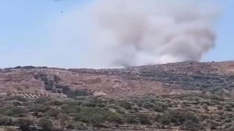 Φωτιά στην περιοχή Αγρίλες στα Χανιά