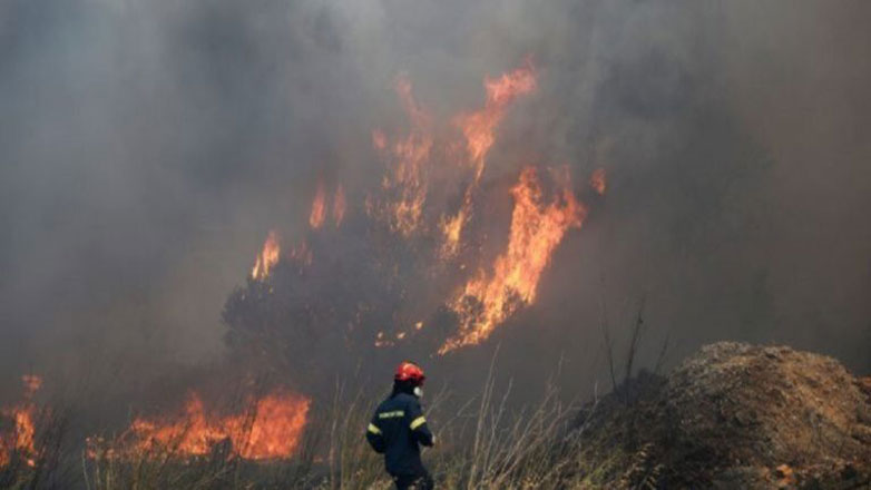 Πάτρα: Φωτιά στην περιοχή Πλατάνι καίει χαμηλή βλάστηση