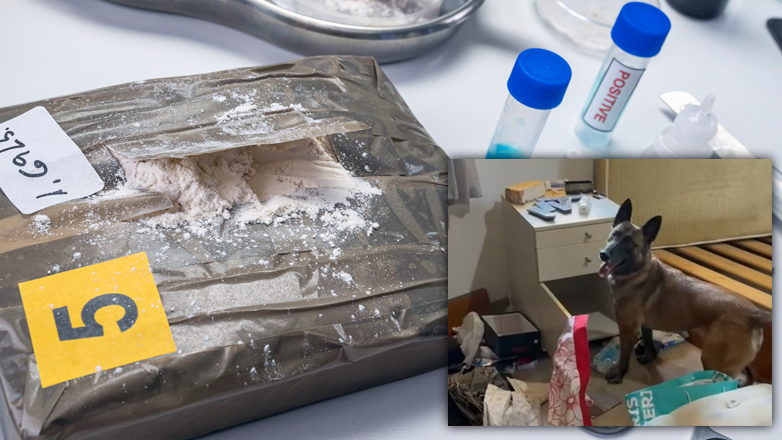 «Φέρε τα “σουβλάκια” και την “ψημένη”, φίλε»