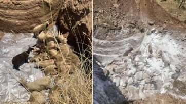 «Ξηλώνουν» όσους έθαψαν ζωντανό το κοπάδι με την πανώλη