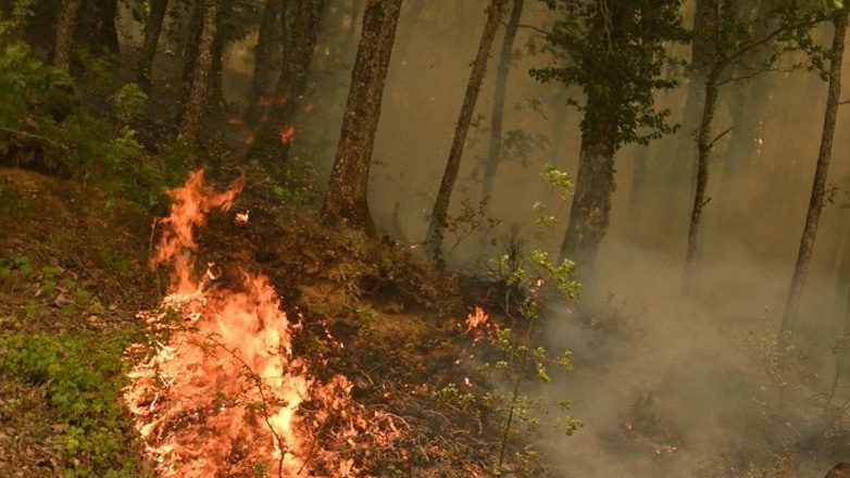 Ένας νεκρός από τις δασικές πυρκαγιές στη Βόρεια Μακεδονία
