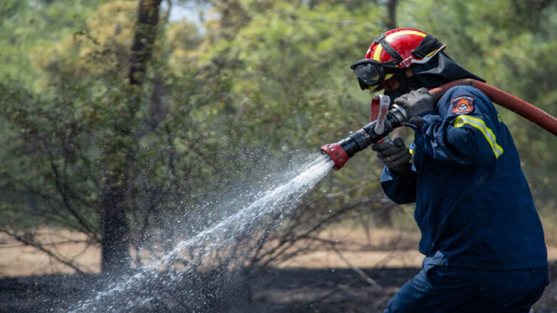 Πυρκαγιά σε δασική έκταση στο Καλαμωτό Θεσσαλονίκης