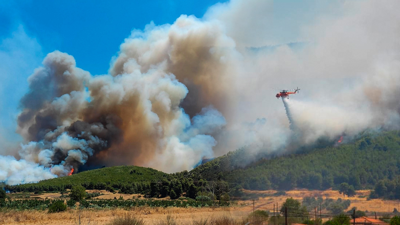 Φωτιά στην Αμαλιάδα Ηλείας