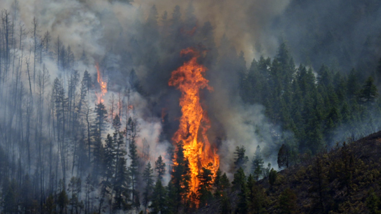Ένας νεκρός από τις δασικές πυρκαγιές στις ΗΠΑ
